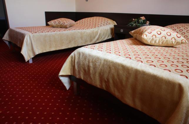 Hotel Wasik Krogulcza Cameră foto