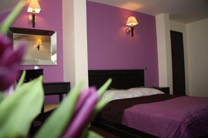 Hotel Wasik Krogulcza Cameră foto
